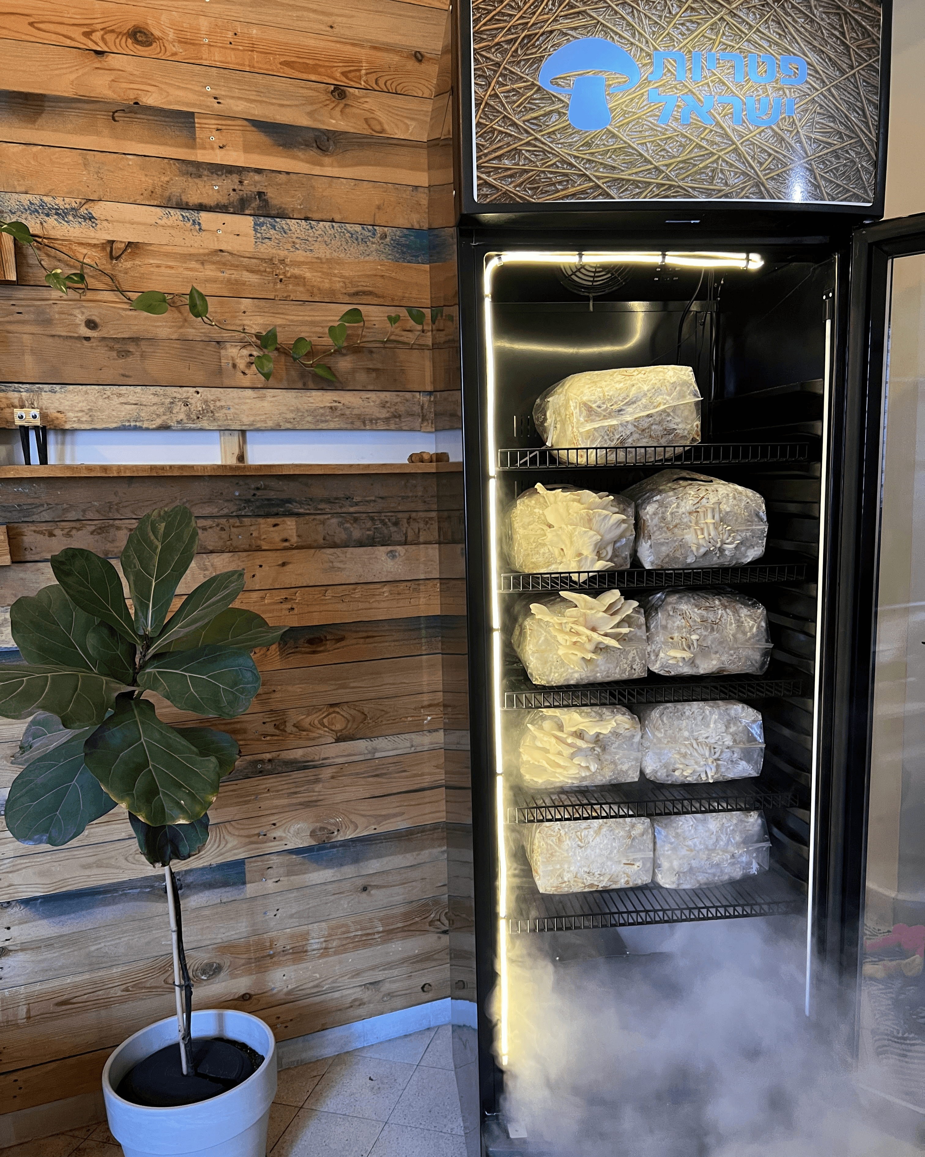 Peter 1 with door open showing growing mushrooms