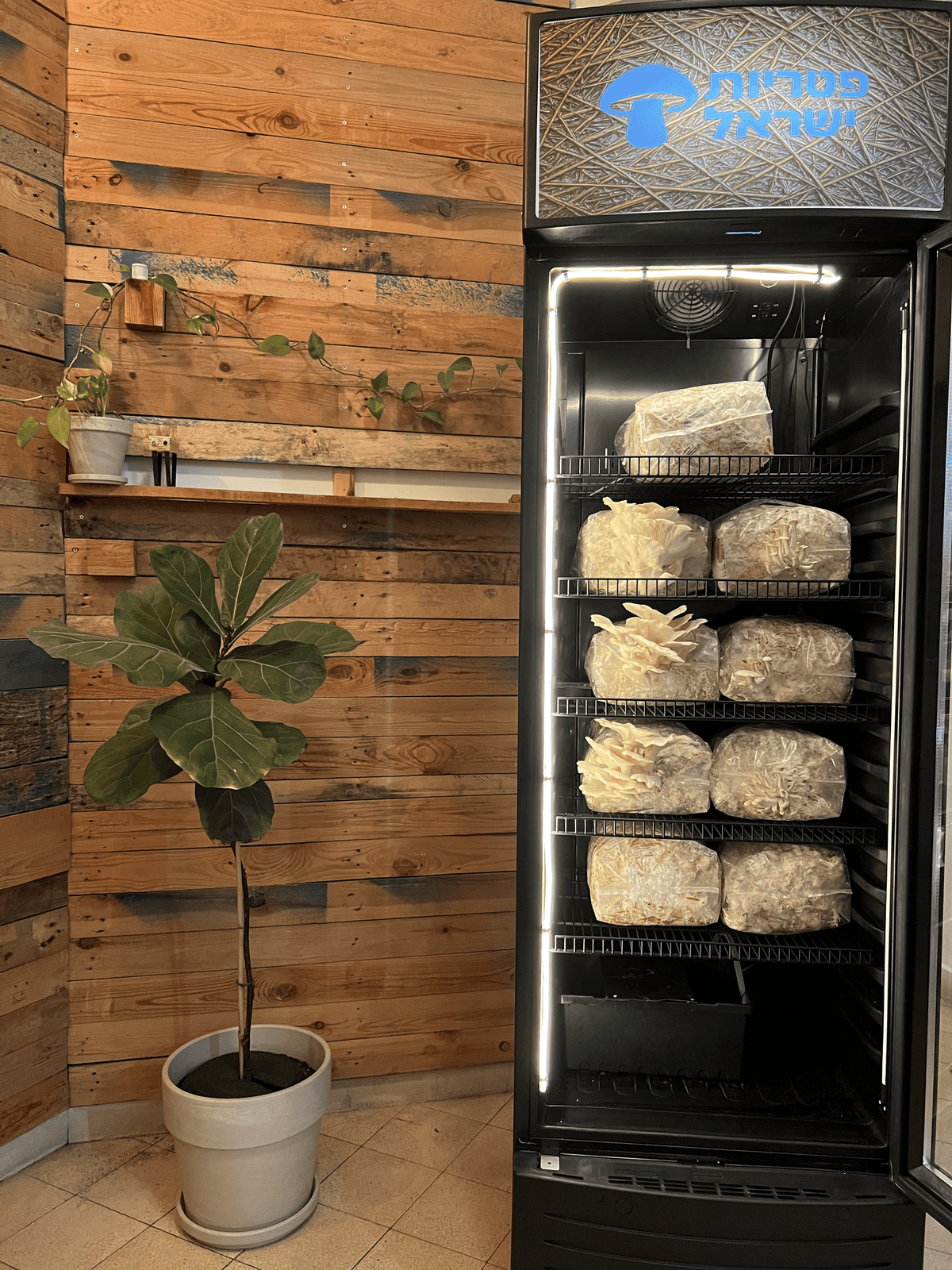 Peter 1 mobile fruiting unit